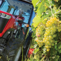 Трактори Massey Ferguson 3600