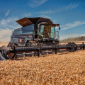 Комбайн Massey Ferguson Ideal